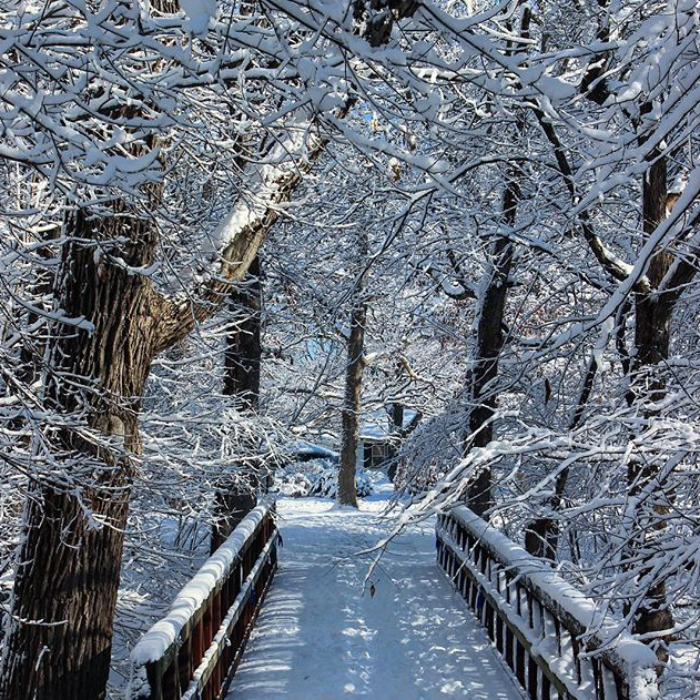 Elm Park - @yoga.gal